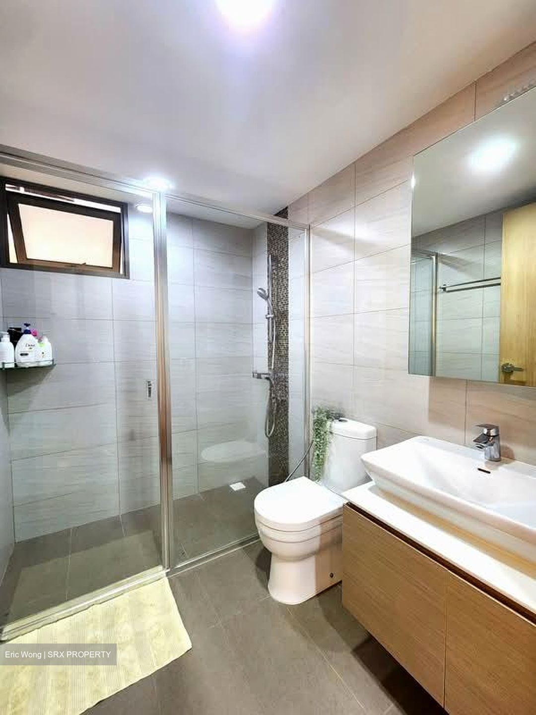 Treasure Crest (D19), Condominium #559078861